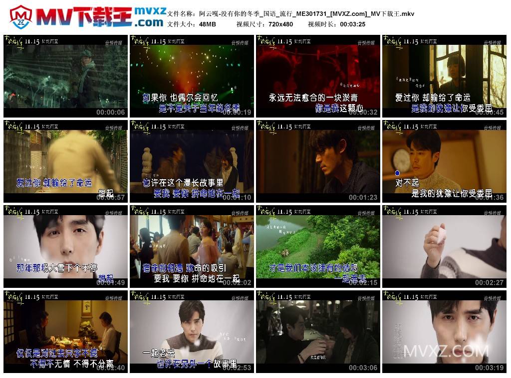 阿云嘎-没有你的冬季_国语_流行_ME301731